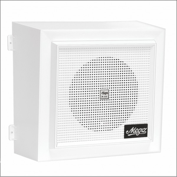 P 111 T Wall Speakers